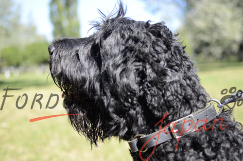 大型犬用首輪　2way