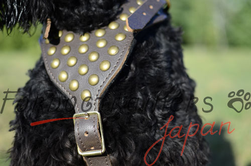 ブラック・ロシアン・テリア用ハーネス