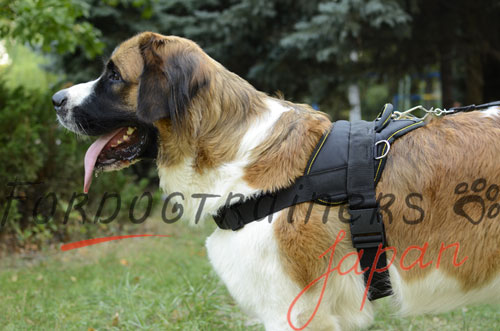 大型犬用ハーネス　多目的