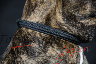 大型犬　首輪　丈夫　本革製　