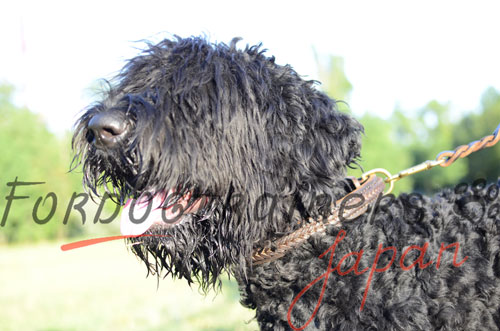 大型犬用製首輪　三つ編付