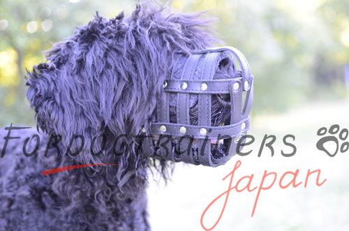 大型犬用口輪　多目的