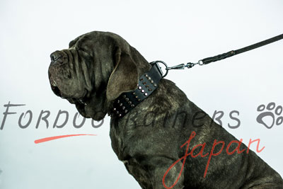 大型犬用幅広い首輪