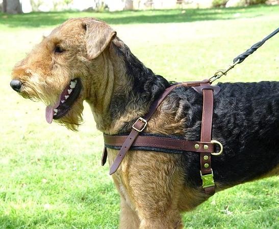 多目的な革の犬用ハーネス 小型犬 超大型犬用