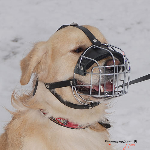 犬の安全な口輪