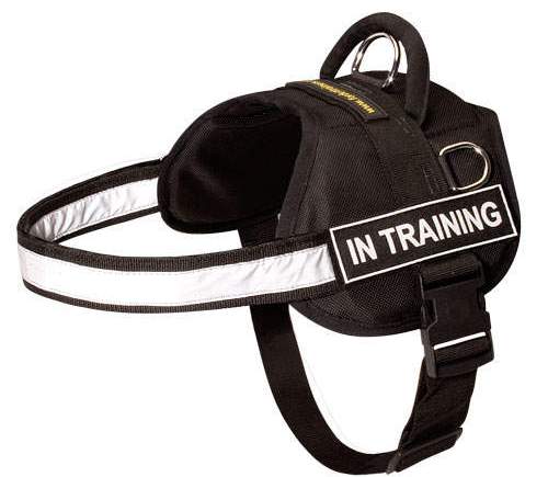 Reflective nylon dog harness