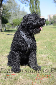 大型犬 ハーネス 鋲スタッズ 大型犬 ハーネス 鋲スタッズ