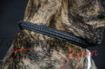 大型犬 首輪 丈夫 本革製 大型犬 首輪 丈夫 本革製