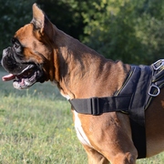 中・大型犬用多目的なナイロンのハーネス 中・大型犬用多目的なナイロンのハーネス