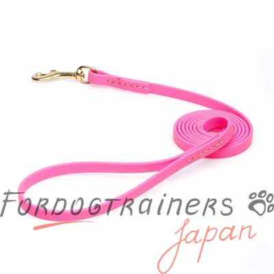 犬用品　リーシュ　販売