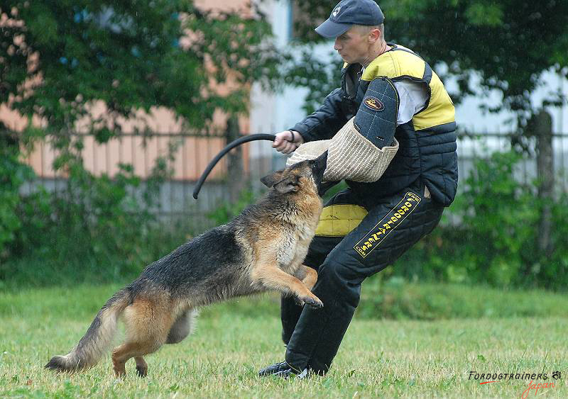 ジュートカバー付き犬訓練用スリーブ