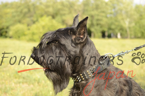 大型犬　首輪　革