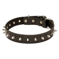 本革のスパイク・カラー　中・大型犬用
