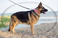 大型犬 散歩 首輪 ジャーマンシェパード用 ピンク革製 装飾付き 40mm 大型犬 散歩 首輪 ジャーマンシェパード用 ピンク革製 装飾付き 40mm